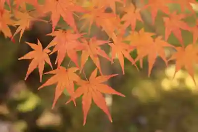 酬恩庵一休寺(京都府)