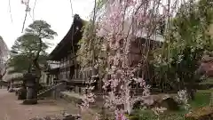 清雲寺の本殿