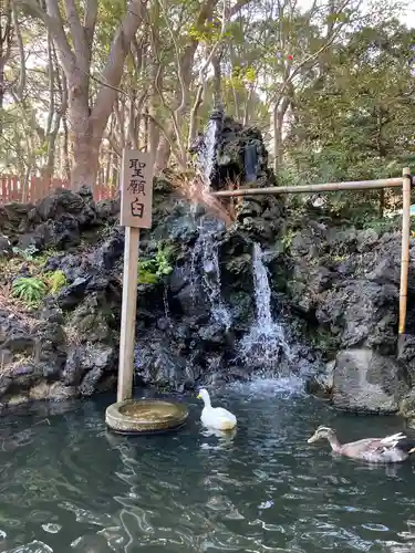 平塚八幡宮の庭園