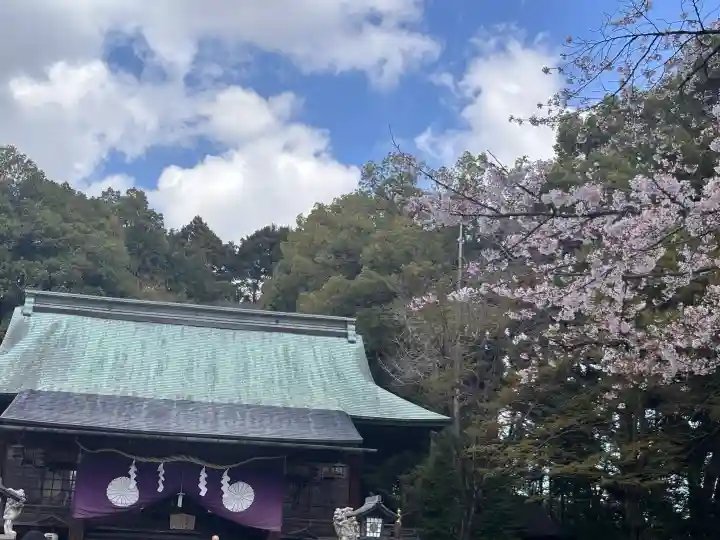 宇都宮二荒山神社の{uncategorized: "未分類", other: "その他", undefined: "問題あり", building: "その他建物", grave: "お墓", sacred_gate: "鳥居", guardian: "狛犬", statue: "像", buddha: "仏像", history: "歴史", nature: "自然", garden: "庭園", animal: "動物", pagoda: "塔", temizu: "手水舎", mountain_gate: "山門・神門", sanctuary: "本殿・本堂", subordinate: "末社・摂社", art: "芸術", scenery: "景色", jizo: "地蔵", ema: "絵馬", goshuin: "御朱印", omikuji: "おみくじ", items: "授与品その他", amulet: "お守り", goshuincho: "御朱印帳", eats: "食事", festival: "お祭り", votive_dance: "神楽", shichigosan: "七五三参", wedding: "結婚式", experience: "体験その他", initially: "初詣", around: "周辺", anti_infection: "感染症対策"}