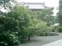 本覚寺の自然