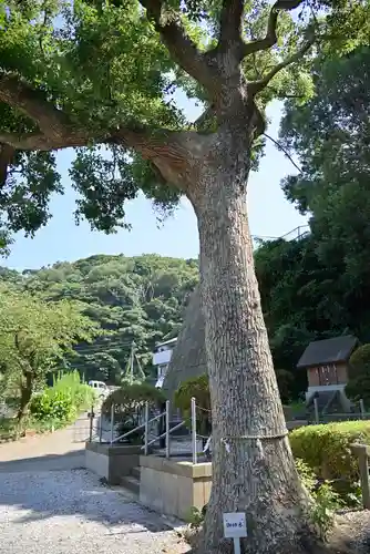 走水神社の自然