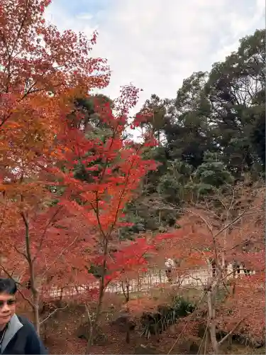 伏見稲荷大社(京都府)