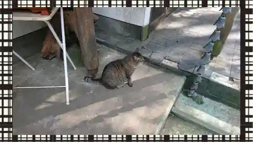 間々田八幡宮(栃木県)