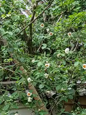 東林院(京都府)