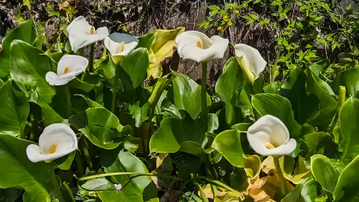 惠心院(京都府)