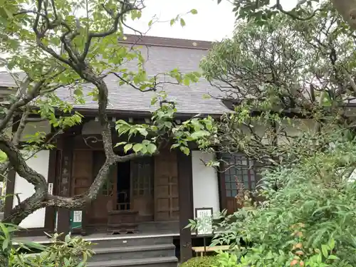 光照寺の本殿・本堂