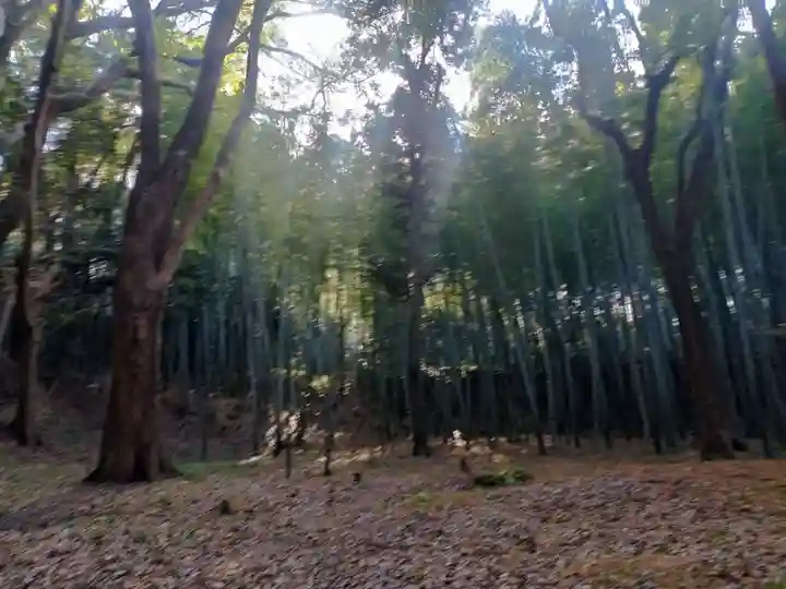 三女神社(京都府)