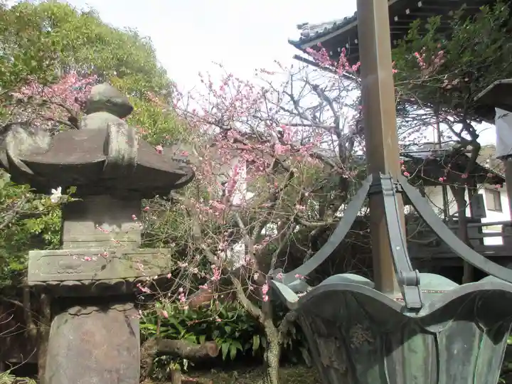 安國論寺(安国論寺)の景色