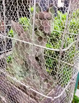 日先神社(東京都)