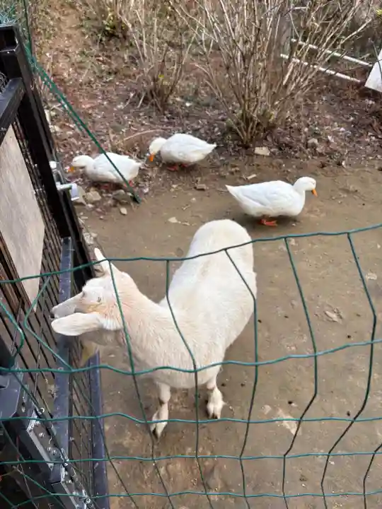 楽法寺(雨引観音)(茨城県)