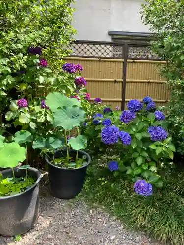 行願寺（革堂）(京都府)