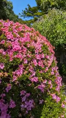 毘沙門堂門跡(京都府)