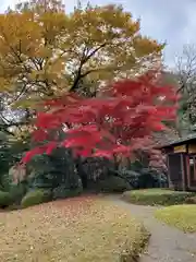 明治神宮の庭園