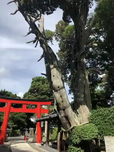 伊古奈比咩命神社の建物その他