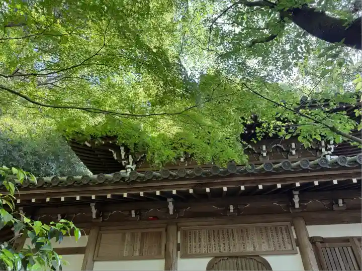 長楽寺(京都府)