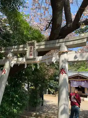 九重神社(埼玉県)