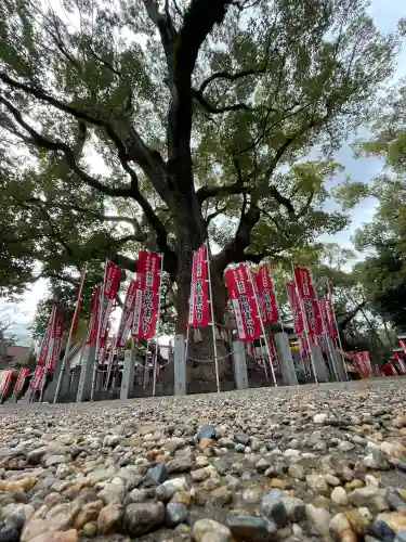 住吉大社の{uncategorized: "未分類", other: "その他", undefined: "問題あり", building: "その他建物", grave: "お墓", sacred_gate: "鳥居", guardian: "狛犬", statue: "像", buddha: "仏像", history: "歴史", nature: "自然", garden: "庭園", animal: "動物", pagoda: "塔", temizu: "手水舎", mountain_gate: "山門・神門", sanctuary: "本殿・本堂", subordinate: "末社・摂社", art: "芸術", scenery: "景色", jizo: "地蔵", ema: "絵馬", goshuin: "御朱印", omikuji: "おみくじ", items: "授与品その他", amulet: "お守り", goshuincho: "御朱印帳", eats: "食事", festival: "お祭り", votive_dance: "神楽", shichigosan: "七五三参", wedding: "結婚式", experience: "体験その他", initially: "初詣", around: "周辺", anti_infection: "感染症対策"}
