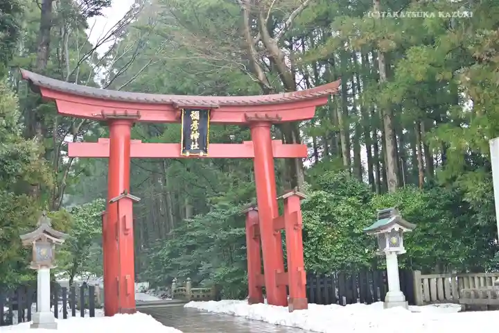 彌彦神社の鳥居