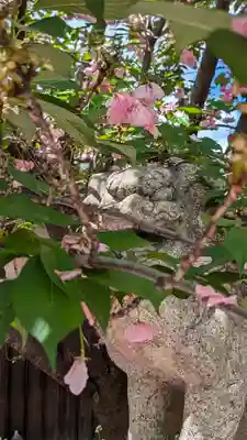 若宮神社の狛犬