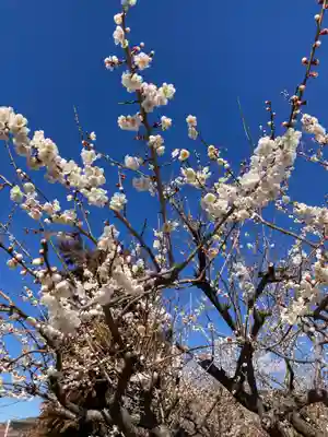 八幡社（小田原市曽我別所）(神奈川県)
