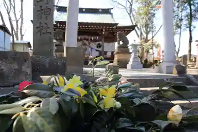 熊野福藏神社の手水舎