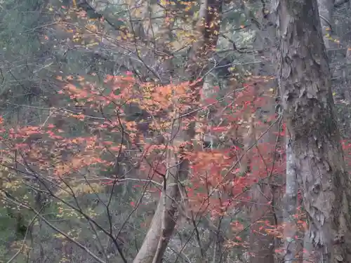 大矢田神社(岐阜県)