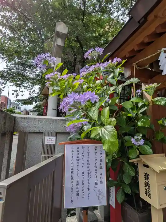 十番稲荷神社(東京都)