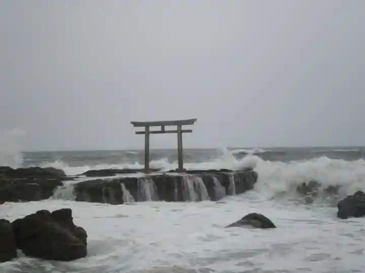 大洗磯前神社の自然