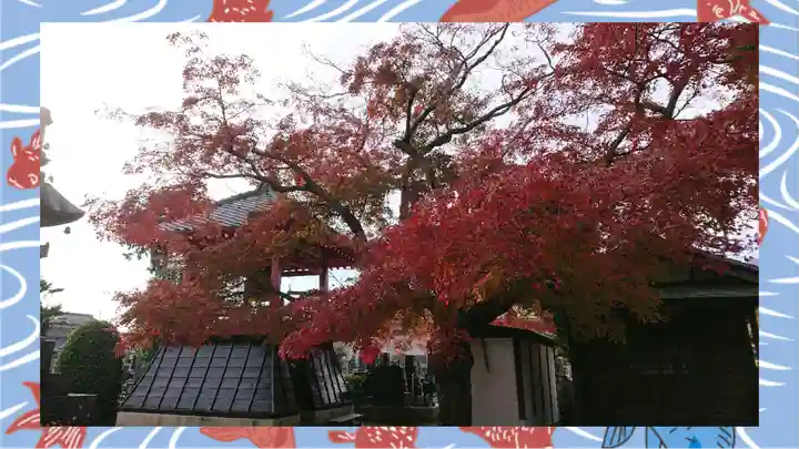 大蔵院(群馬県)