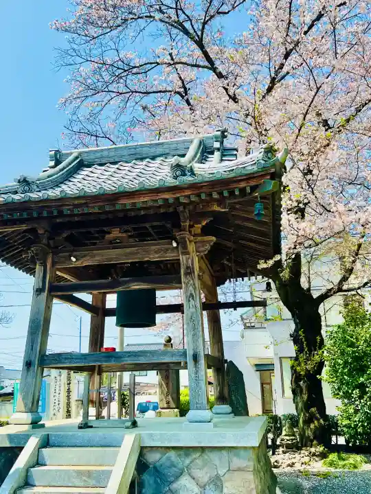 日限地蔵尊 観音院の{uncategorized: "未分類", other: "その他", undefined: "問題あり", building: "その他建物", grave: "お墓", sacred_gate: "鳥居", guardian: "狛犬", statue: "像", buddha: "仏像", history: "歴史", nature: "自然", garden: "庭園", animal: "動物", pagoda: "塔", temizu: "手水舎", mountain_gate: "山門・神門", sanctuary: "本殿・本堂", subordinate: "末社・摂社", art: "芸術", scenery: "景色", jizo: "地蔵", ema: "絵馬", goshuin: "御朱印", omikuji: "おみくじ", items: "授与品その他", amulet: "お守り", goshuincho: "御朱印帳", eats: "食事", festival: "お祭り", votive_dance: "神楽", shichigosan: "七五三参", wedding: "結婚式", experience: "体験その他", initially: "初詣", around: "周辺", anti_infection: "感染症対策"}