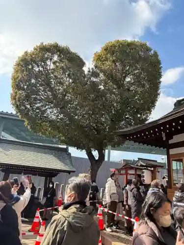 南宮宇佐八幡神社（脇浜神社）の{uncategorized: "未分類", other: "その他", undefined: "問題あり", building: "その他建物", grave: "お墓", sacred_gate: "鳥居", guardian: "狛犬", statue: "像", buddha: "仏像", history: "歴史", nature: "自然", garden: "庭園", animal: "動物", pagoda: "塔", temizu: "手水舎", mountain_gate: "山門・神門", sanctuary: "本殿・本堂", subordinate: "末社・摂社", art: "芸術", scenery: "景色", jizo: "地蔵", ema: "絵馬", goshuin: "御朱印", omikuji: "おみくじ", items: "授与品その他", amulet: "お守り", goshuincho: "御朱印帳", eats: "食事", festival: "お祭り", votive_dance: "神楽", shichigosan: "七五三参", wedding: "結婚式", experience: "体験その他", initially: "初詣", around: "周辺", anti_infection: "感染症対策"}