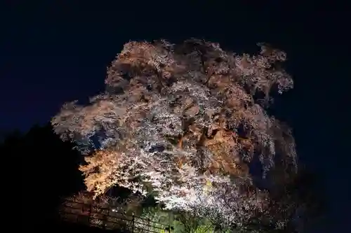 天神さまの祠の自然