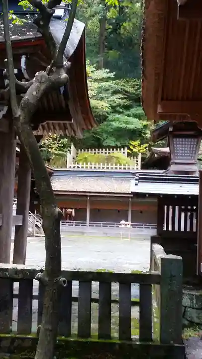 諏訪大社(長野県)