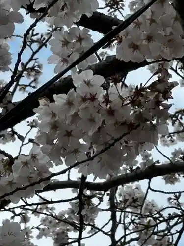 徳島眉山天神社(徳島県)
