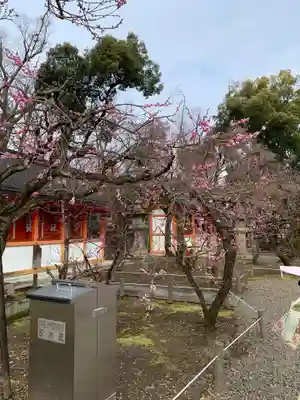 北野天満宮(京都府)