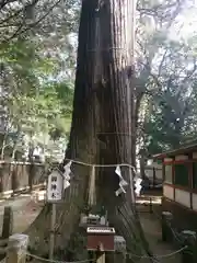 一言主神社の自然