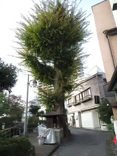 正行寺(栃木県)