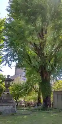 多奈波太神社(愛知県)