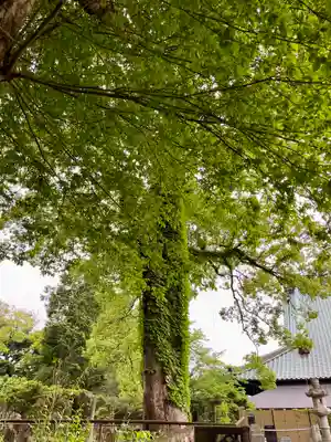 長生院(神奈川県)