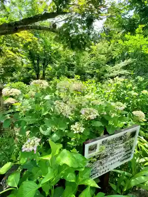 石都々古和気神社(福島県)