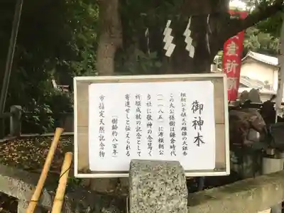 海南神社(神奈川県)