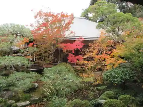 禅林寺（永観堂）の庭園