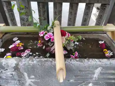 元町厳島神社の手水舎