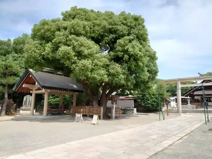 和泉國一之宮 大鳥大社(大阪府)