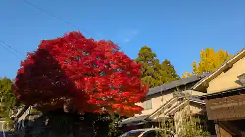 十輪寺(京都府)