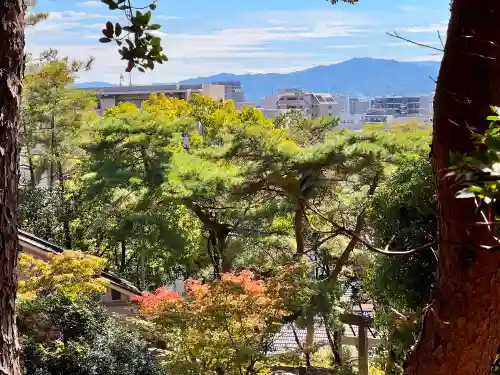 紅葉八幡宮(福岡県)