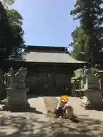 胸形神社の本殿・本堂