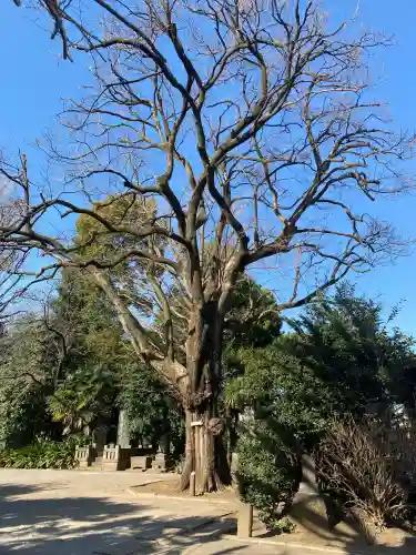 最勝寺教学院の{uncategorized: "未分類", other: "その他", undefined: "問題あり", building: "その他建物", grave: "お墓", sacred_gate: "鳥居", guardian: "狛犬", statue: "像", buddha: "仏像", history: "歴史", nature: "自然", garden: "庭園", animal: "動物", pagoda: "塔", temizu: "手水舎", mountain_gate: "山門・神門", sanctuary: "本殿・本堂", subordinate: "末社・摂社", art: "芸術", scenery: "景色", jizo: "地蔵", ema: "絵馬", goshuin: "御朱印", omikuji: "おみくじ", items: "授与品その他", amulet: "お守り", goshuincho: "御朱印帳", eats: "食事", festival: "お祭り", votive_dance: "神楽", shichigosan: "七五三参", wedding: "結婚式", experience: "体験その他", initially: "初詣", around: "周辺", anti_infection: "感染症対策"}