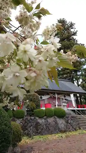苗島神社の自然